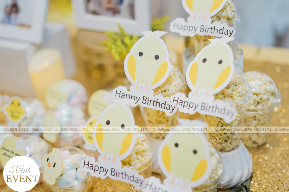 Tổ chức sinh nhật cho bé Lâm châu anh 1 tuổi - MAX01-004